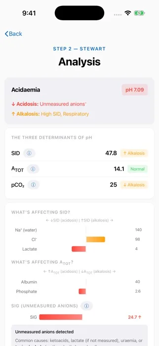 AcidPro screenshot 5